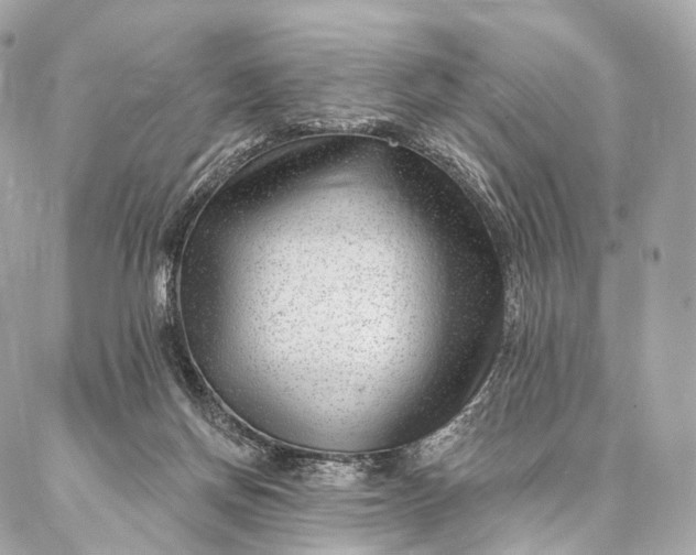 X0000087030166200704301348