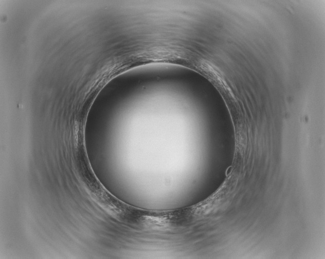 X0000087030167200704301348