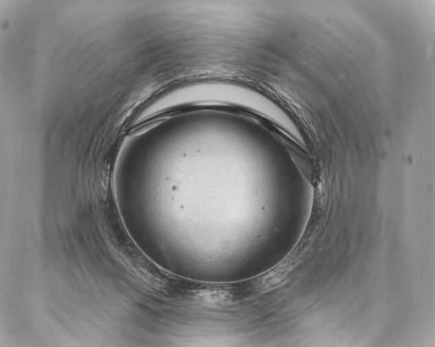 X0000087030168200704301348