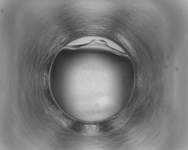 X0000087030169200704301348