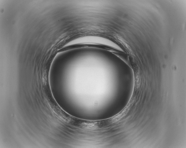 X0000087030170200704301348