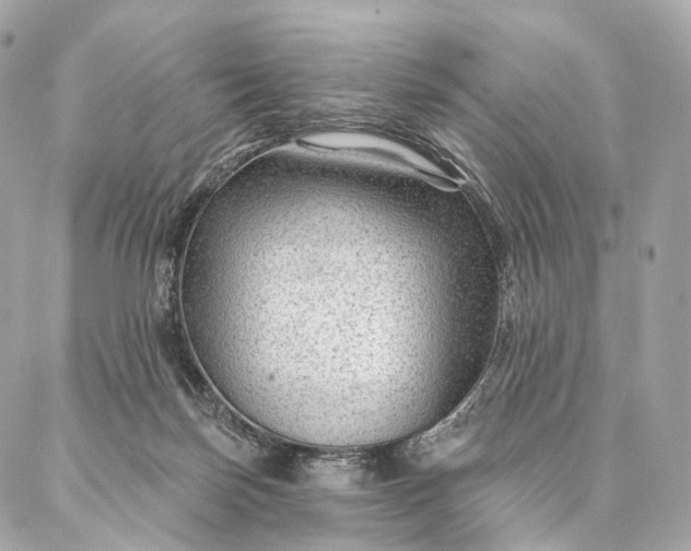 X0000087030171200704301348