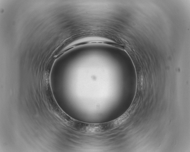 X0000087030172200704301348