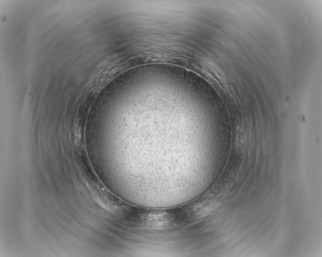 X0000087030173200704301348