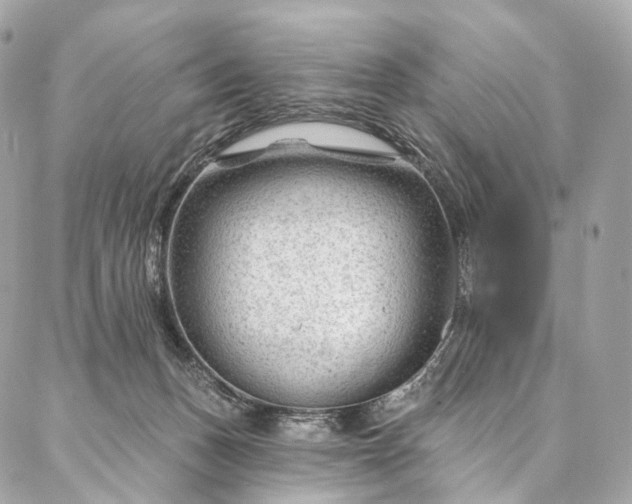 X0000087030175200704301348