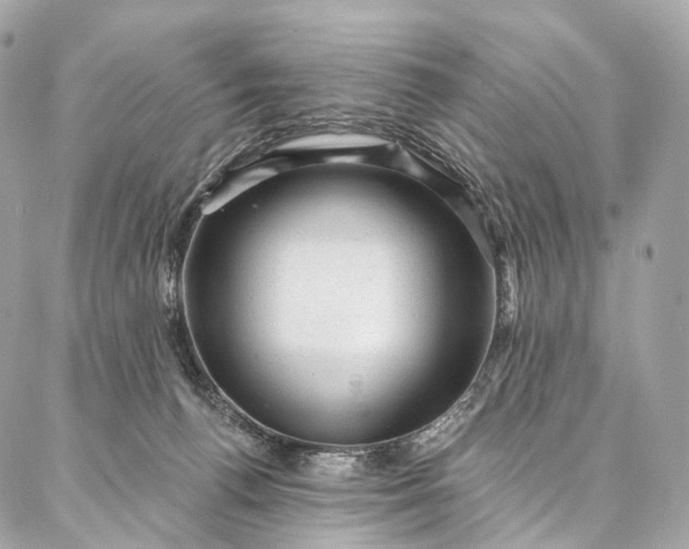 X0000087030176200704301348