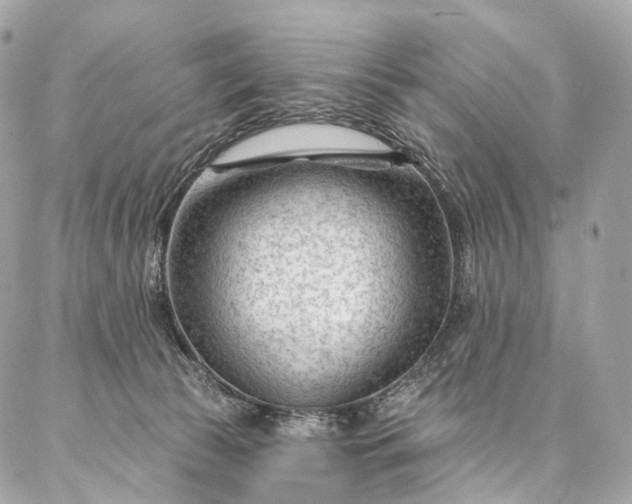 X0000087030177200704301348