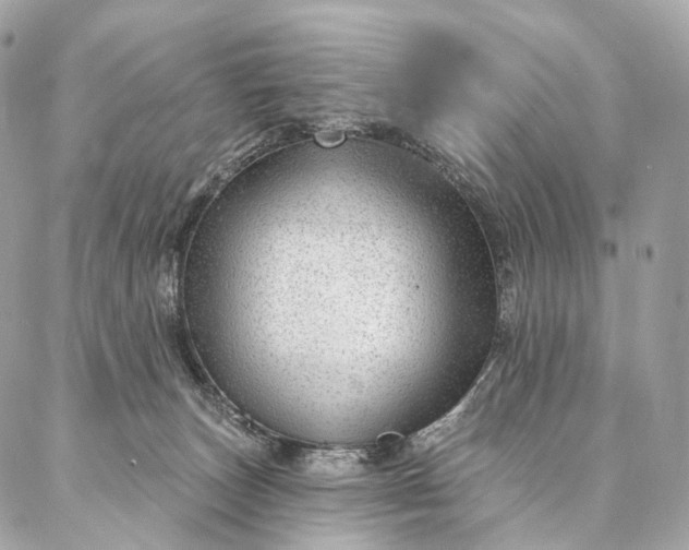 X0000087030179200704301348