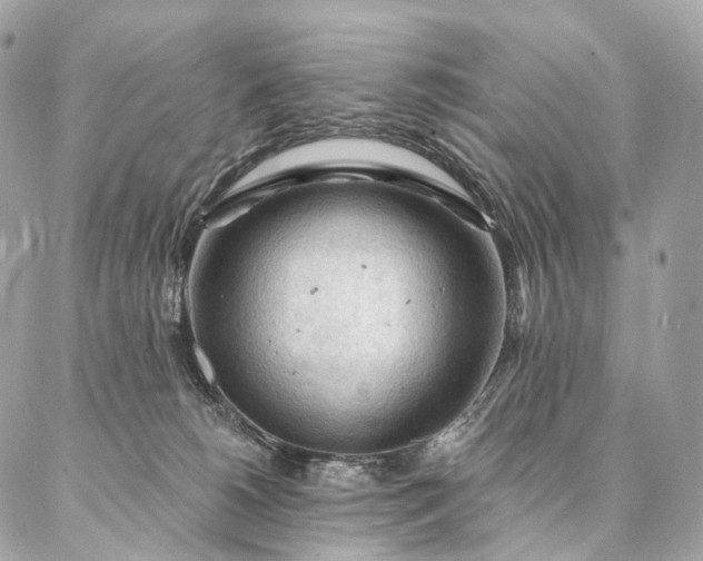 X0000087030180200704301348