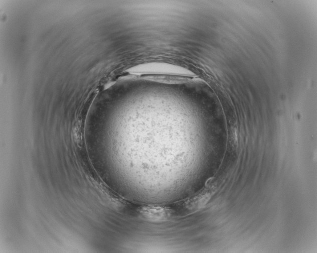 X0000087030181200704301348