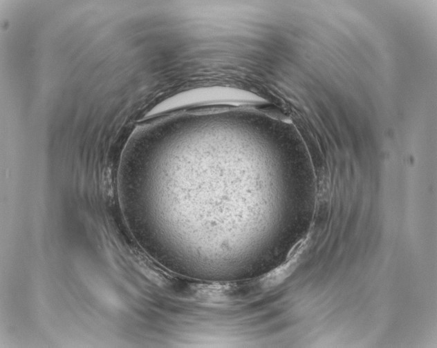 X0000087030182200704301348