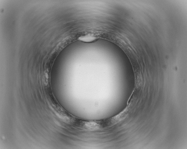 X0000087030183200704301348