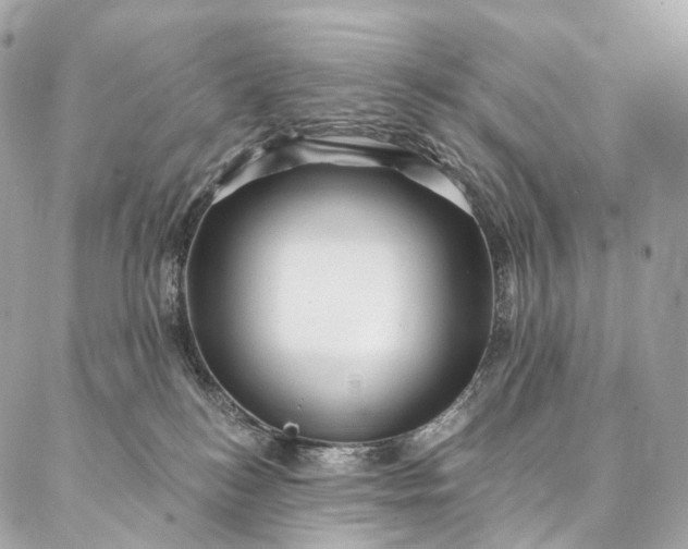 X0000087030184200704301348