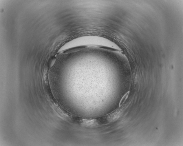 X0000087030185200704301348