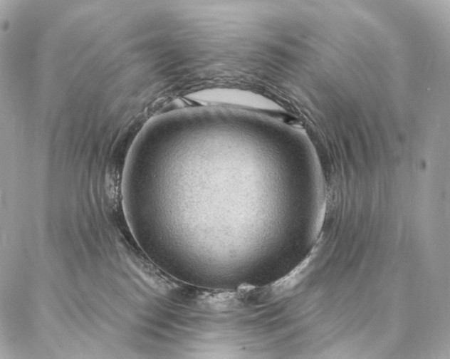 X0000087030186200704301348