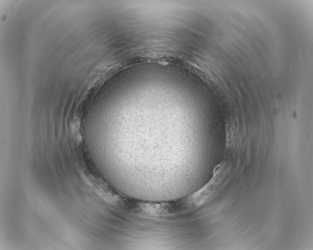 X0000087030187200704301348