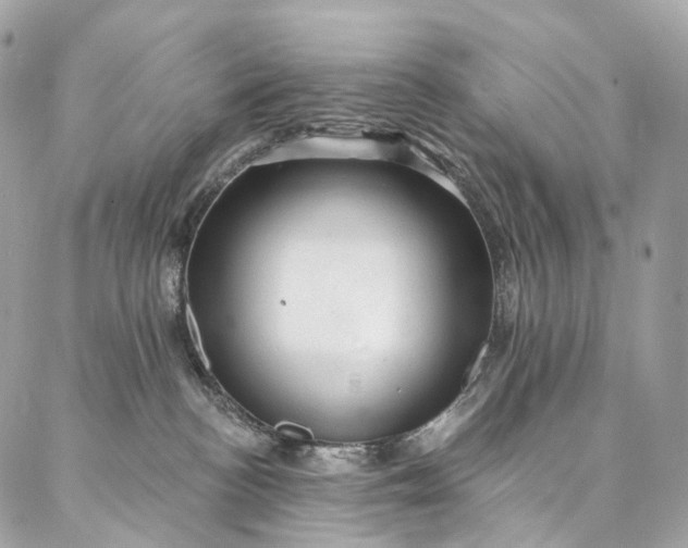 X0000087030188200704301348