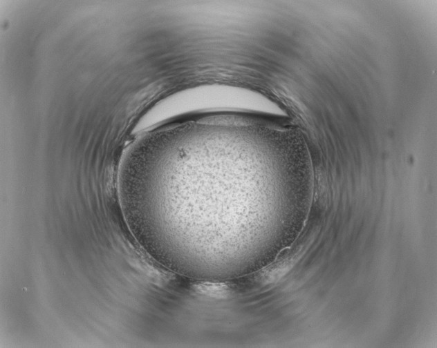 X0000087030189200704301348