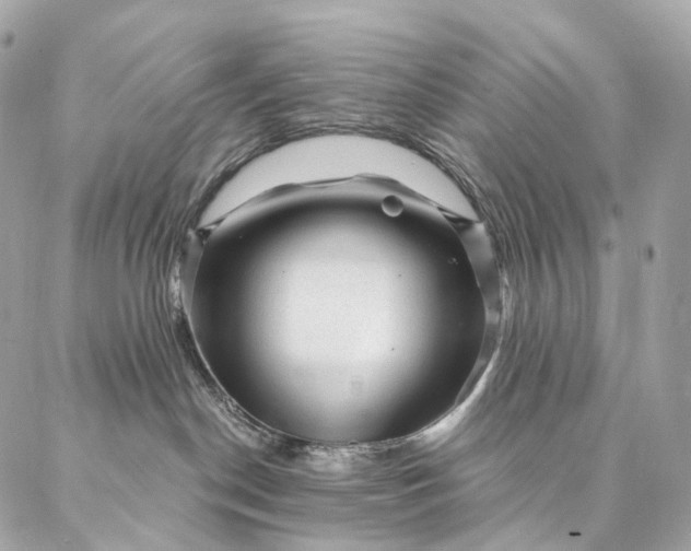 X0000087030190200704301348