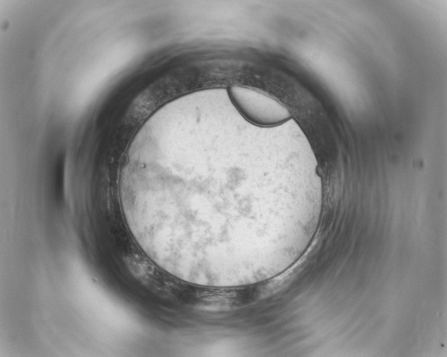 X0000087030191200704301348