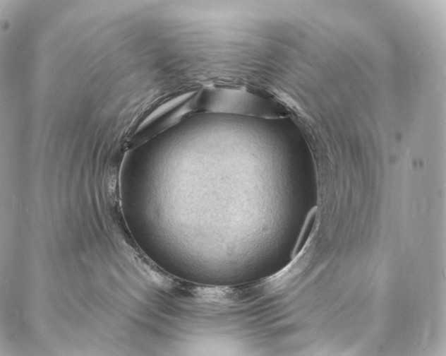 X0000087030192200704301348