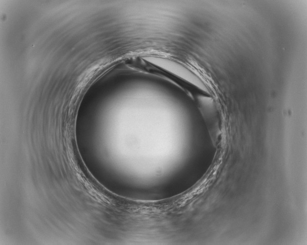 X0000087030193200704301348