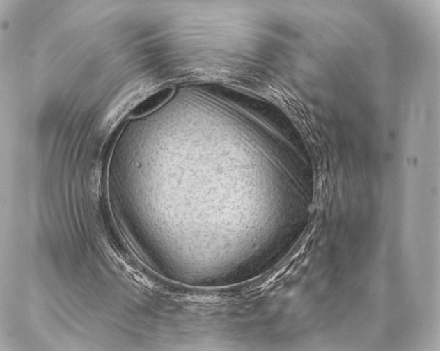 X0000087030194200704301348