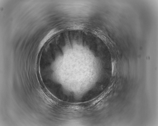 X0000087030195200704301348