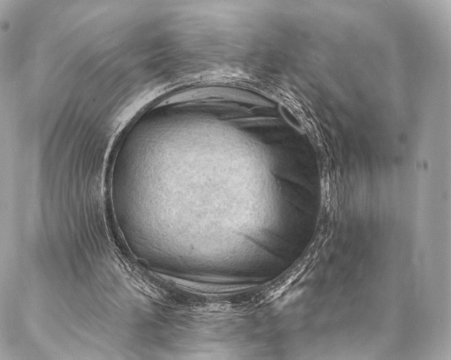 X0000087030196200704301348