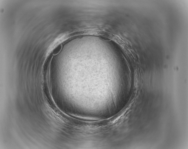 X0000087030198200704301348