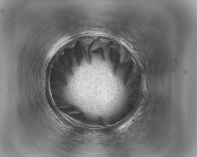 X0000087030199200704301348