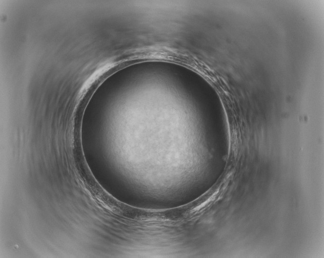 X0000087030200200704301348