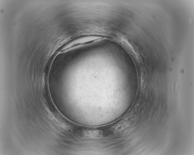 X0000087030202200704301348