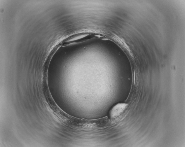 X0000087030204200704301347