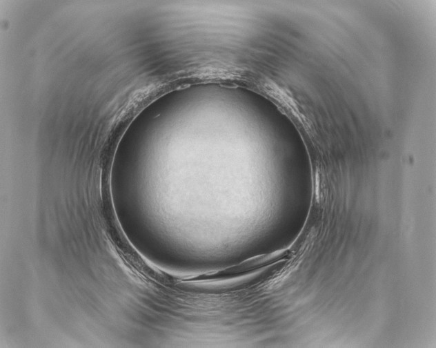 X0000087030205200704301347