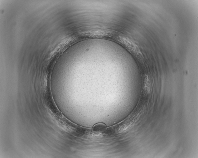 X0000087030206200704301347