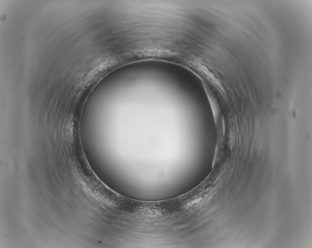 X0000087030207200704301347