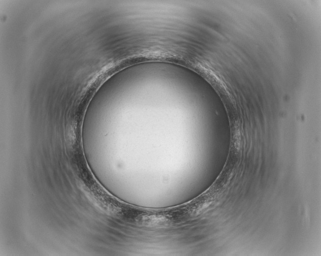 X0000087030208200704301347