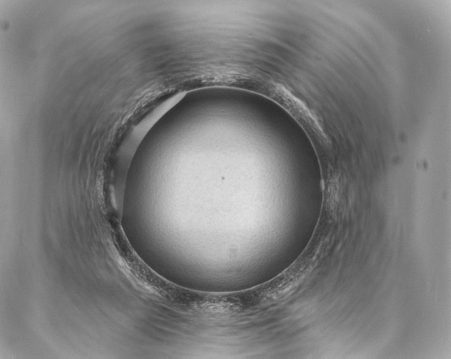 X0000087030209200704301347