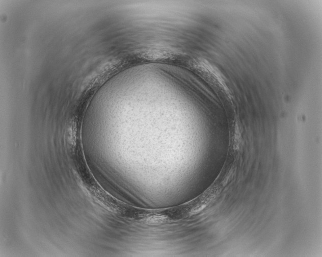 X0000087030210200704301347