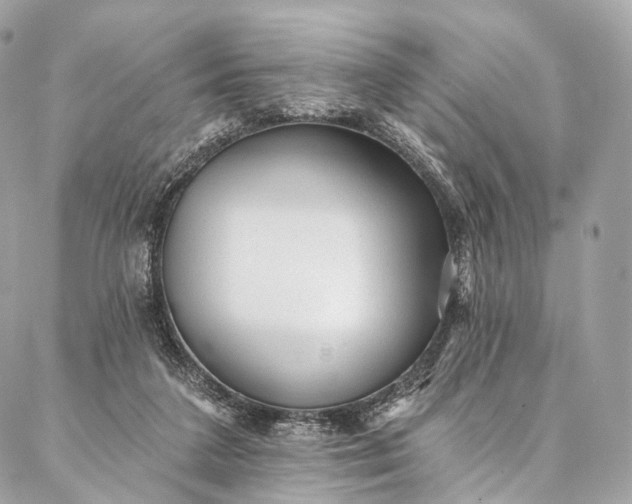 X0000087030211200704301347