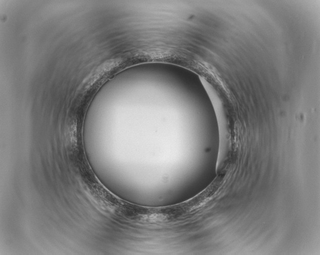 X0000087030212200704301347