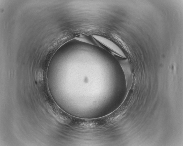 X0000087030213200704301347