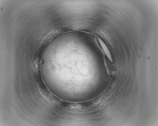 X0000087030214200704301347