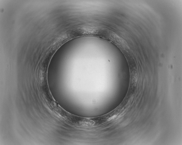 X0000087030215200704301347