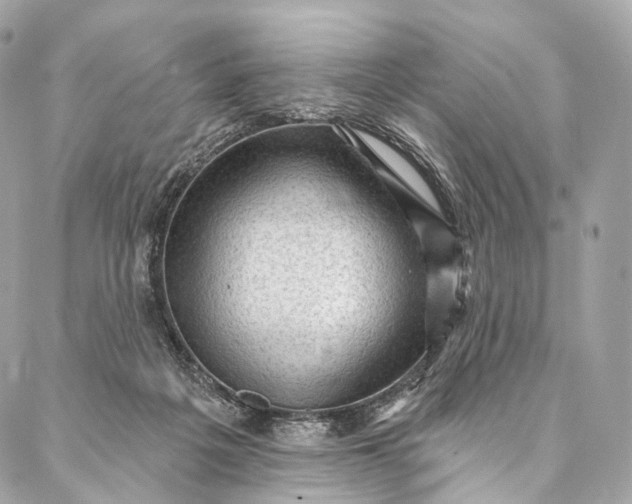 X0000087030217200704301347