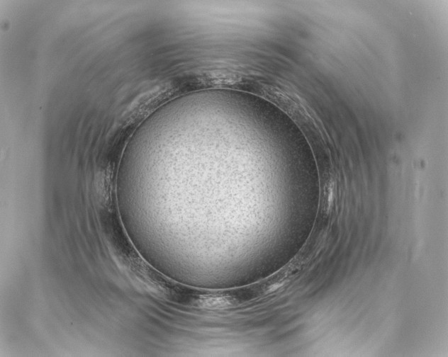 X0000087030218200704301347