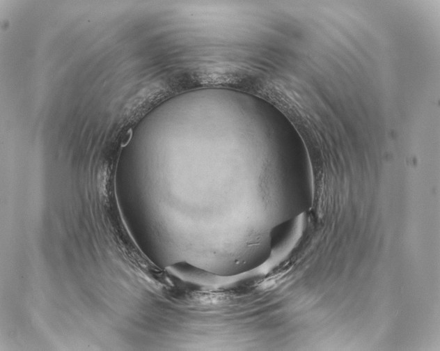 X0000087030219200704301347