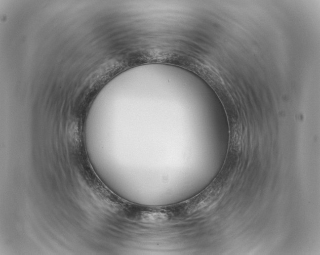 X0000087030220200704301347