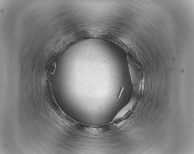 X0000087030221200704301347